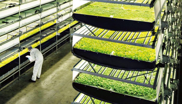 vertical farming facility