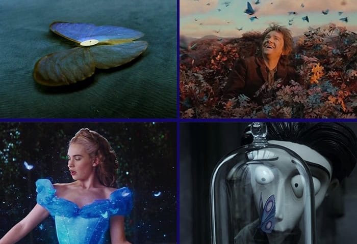 Thumbnail for Why Movies Love Blue Butterflies Best