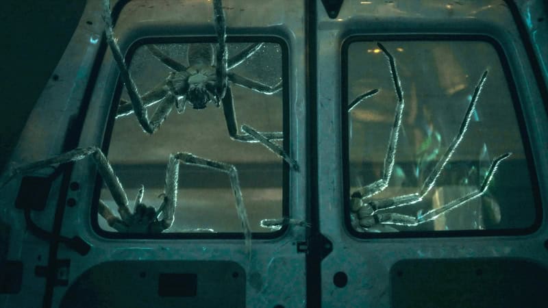 Thumbnail for ‘Infested’ Might Just Be the New Queen of Spider Horror Cinema