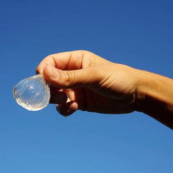 person holding round shaped edible water carrier