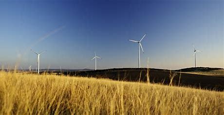 wind turbine in a grass field