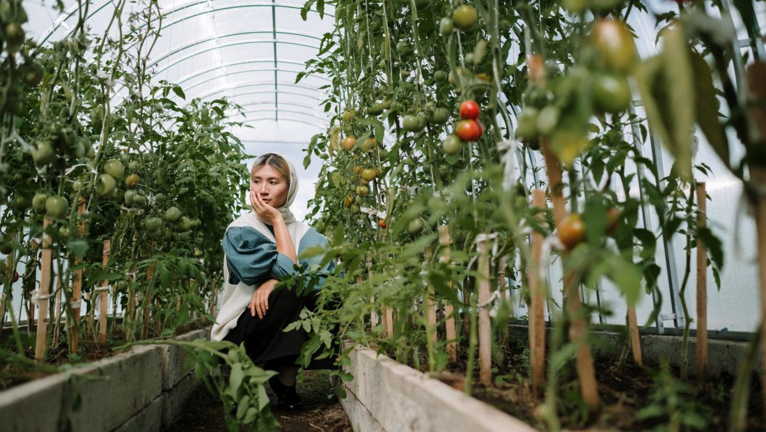 women sitting inside a indoor vegetable garden