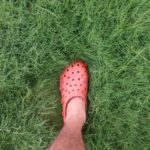 Person Wearing Orange Clog Shoe on Grass Field