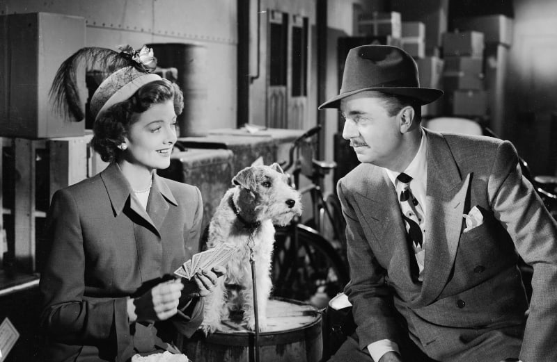 Song Of The Thin Man