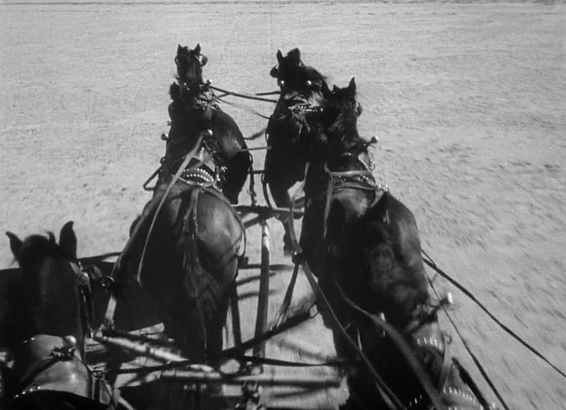 Stagecoach Horses