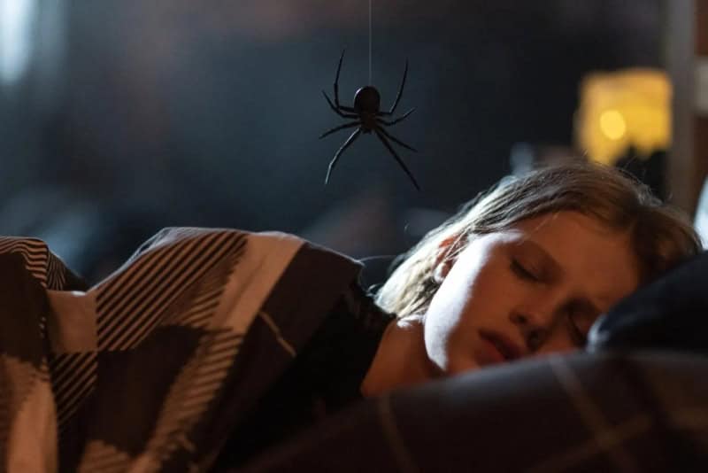 Thumbnail for ‘Sting’ Sends an Extraterrestrial Arachnid Into Your Nightmares