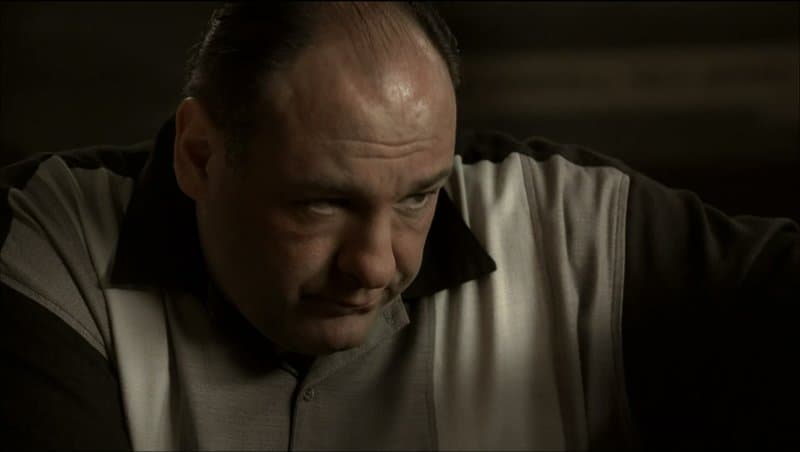 Tony Soprano Looking Down