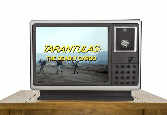 Thumbnail for ‘Tarantulas: The Deadly Cargo’ Sends Foreign Spiders Into the Heartland