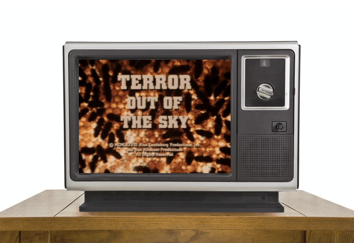 Thumbnail for ‘Terror Out of the Sky’ Sees the Deadly Return of Savage Bees